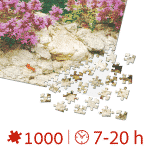 Puzzle 1000 piese - Imagini din România - Castelul Bran ziua -34437