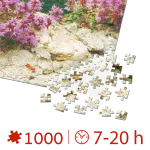 Puzzle 1000 piese - Imagini din România - Castelul Bran ziua -34437