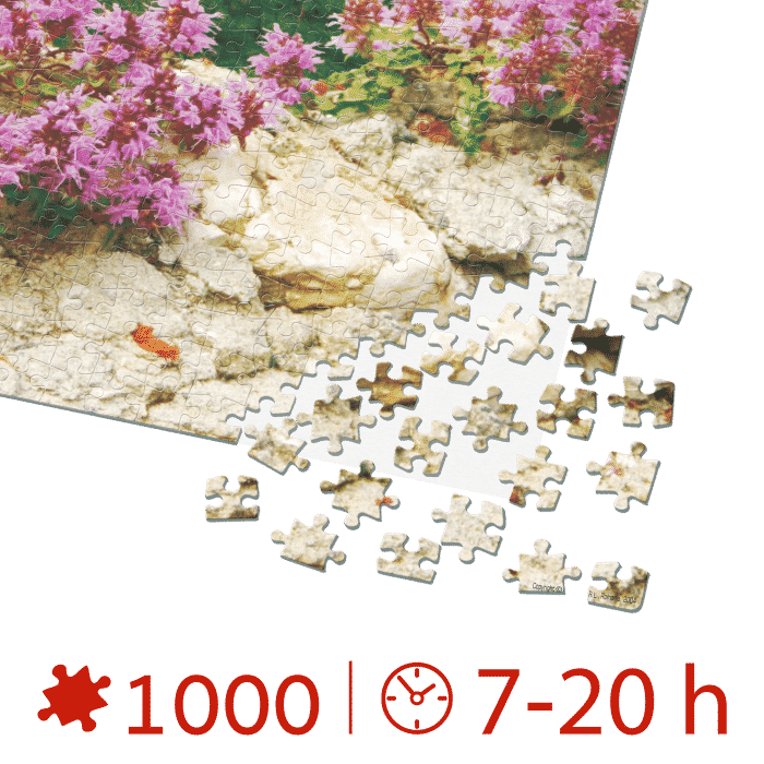 Puzzle 1000 piese - Imagini din România - Castelul Bran ziua -34437