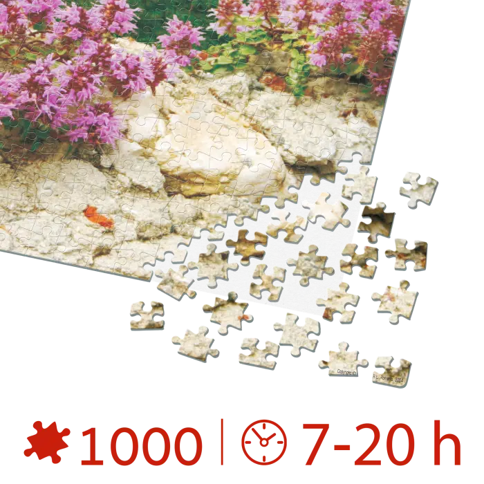Puzzle 1000 piese - Imagini din România - Castelul Bran ziua -34437