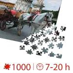 Puzzle adulți 1000 piese Locuri Celebre - Turnul din Pisa-35469