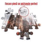 Puzzle adulți 1000 piese Locuri Celebre - Sagrada Familia-35428