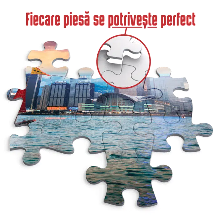 Puzzle adulți 1000 piese Peisaje de Noapte - Hong Kong-35262