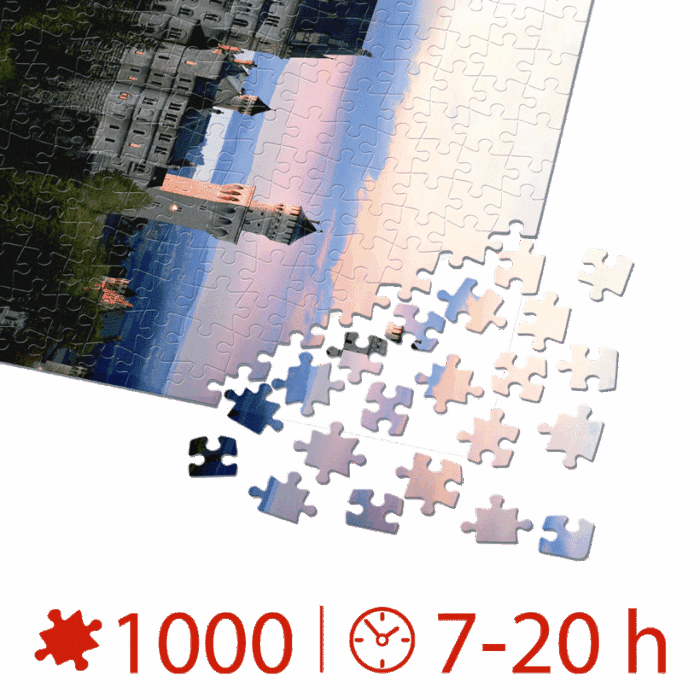 Puzzle adulți 1000 piese Peisaje de Noapte - Neuschwanstein, Germania -35273