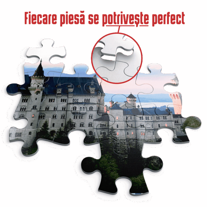 Puzzle adulți 1000 piese Peisaje de Noapte - Neuschwanstein, Germania -35274