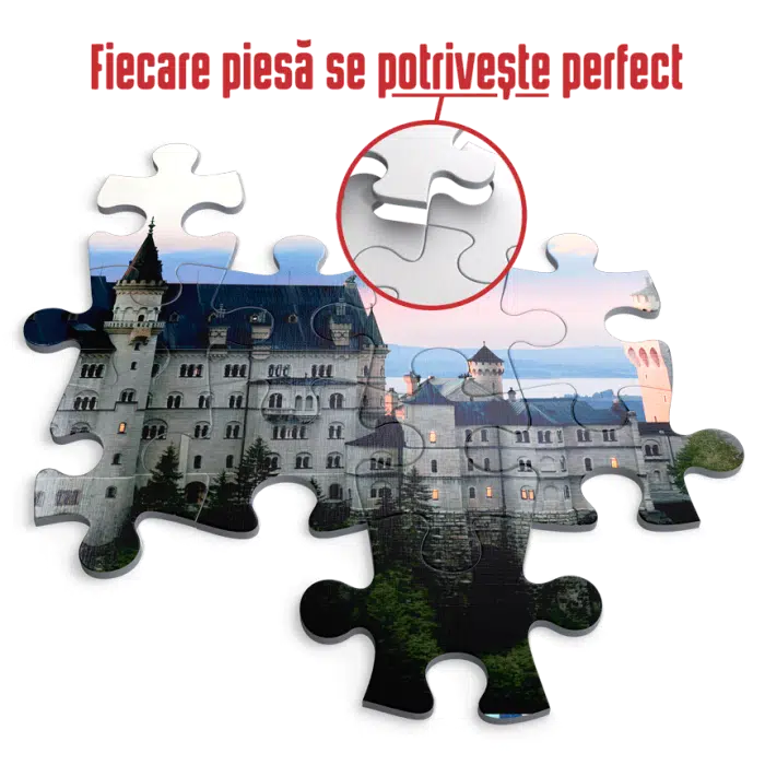 Puzzle adulți 1000 piese Peisaje de Noapte - Neuschwanstein, Germania -35274