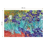 Puzzle adulți Vincent van Gogh - Irises/Iriși - 1000 Piese-34258