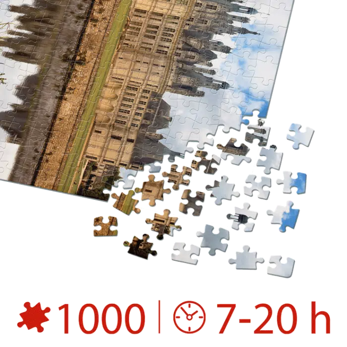 Puzzle adulți 1000 piese Castele Franceze - Castel Chambord-35303