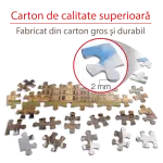 Puzzle adulți 1000 piese Castele Franceze - Castel Chambord-35305