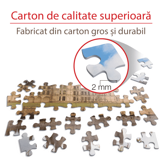 Puzzle adulți 1000 piese Castele Franceze - Castel Chambord-35305