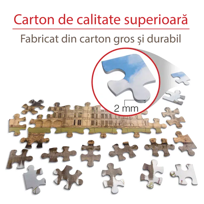 Puzzle adulți 1000 piese Castele Franceze - Castel Chambord-35305