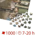 Puzzle adulți 1000 piese Edgar Degas - The Ballet Class-35573