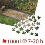 Puzzle adulti 1000 piese John Everett Millais - Ophelia -34649