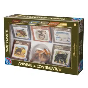 Cărți Pliante - Animale din Continente cu Figurine de Animale-0