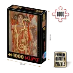 Puzzle adulti 1000 piese Gustav Klimt - Hygieia-0