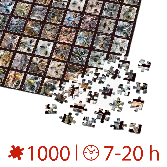 Puzzle adulți 1000 piese - Animal Faces - Owls/Bufnițe-35033
