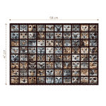 Puzzle adulți 1000 piese - Animal Faces - Owls/Bufnițe-35036