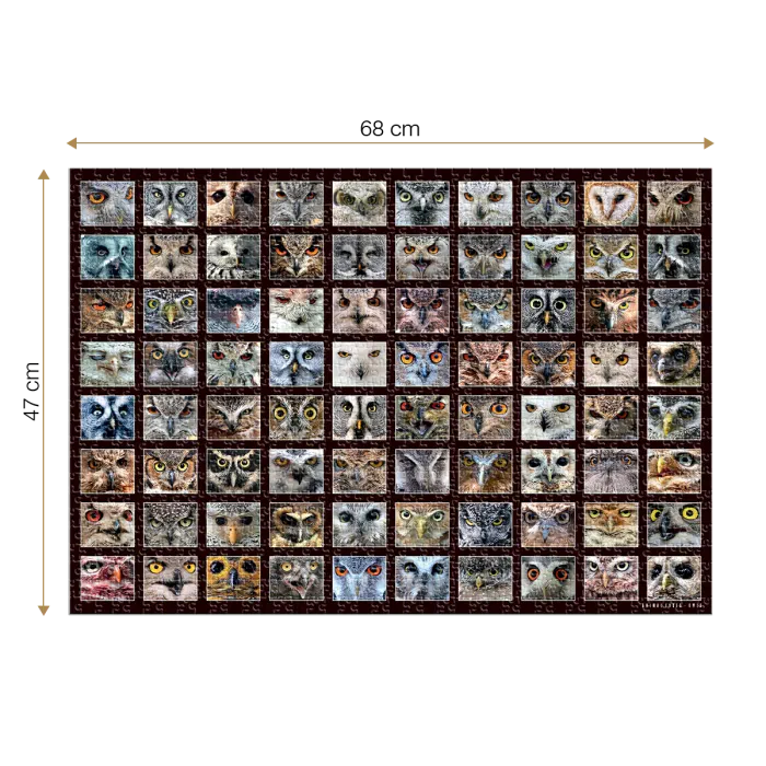 Puzzle adulți 1000 piese - Animal Faces - Owls/Bufnițe-35036