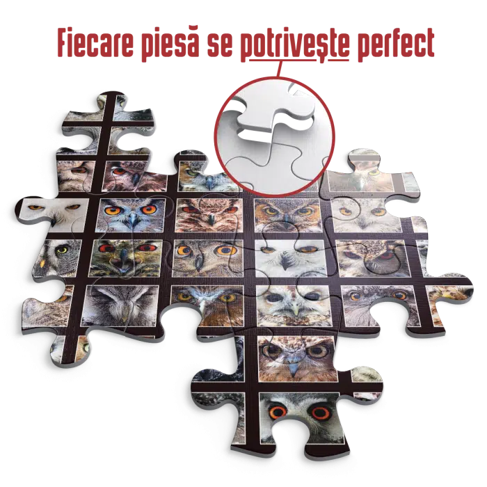 Puzzle adulți 1000 piese - Animal Faces - Owls/Bufnițe-35034