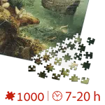 Puzzle adulți Pieter Bruegel cel Batrân - Landscape with the Fall of Icarus/Caderea lui Icarus - 1000 Piese-34135