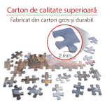 Puzzle adulți 1000 piese Peisaje de zi - Savior on the Spilled Blood, Sankt Petersburg-35563