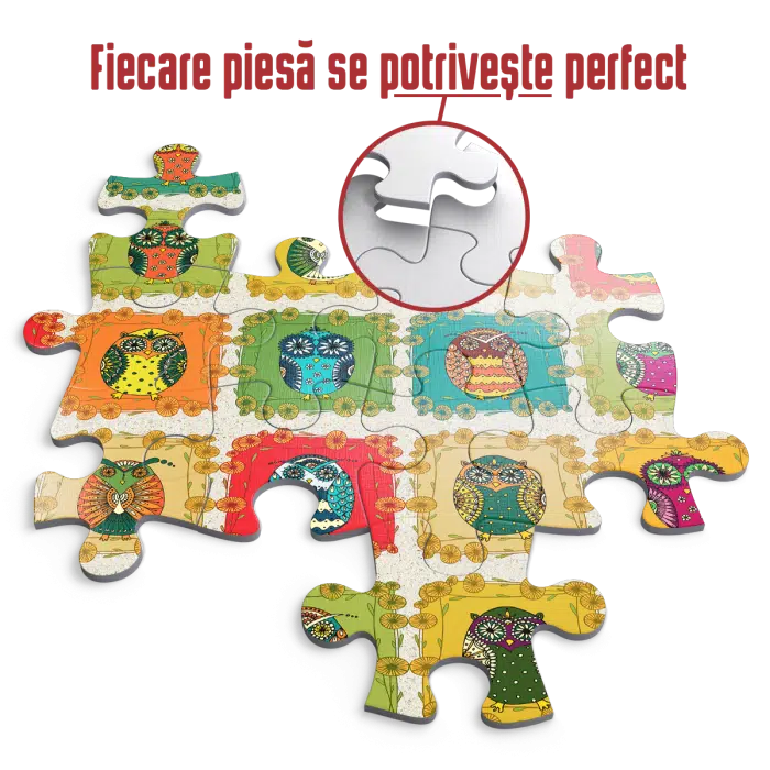 Puzzle adulți 1000 piese - Pattern Owls / Bufnițe -34729