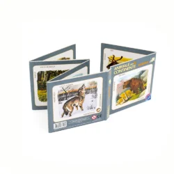 Cărți pliante Animale din Continente - Europa