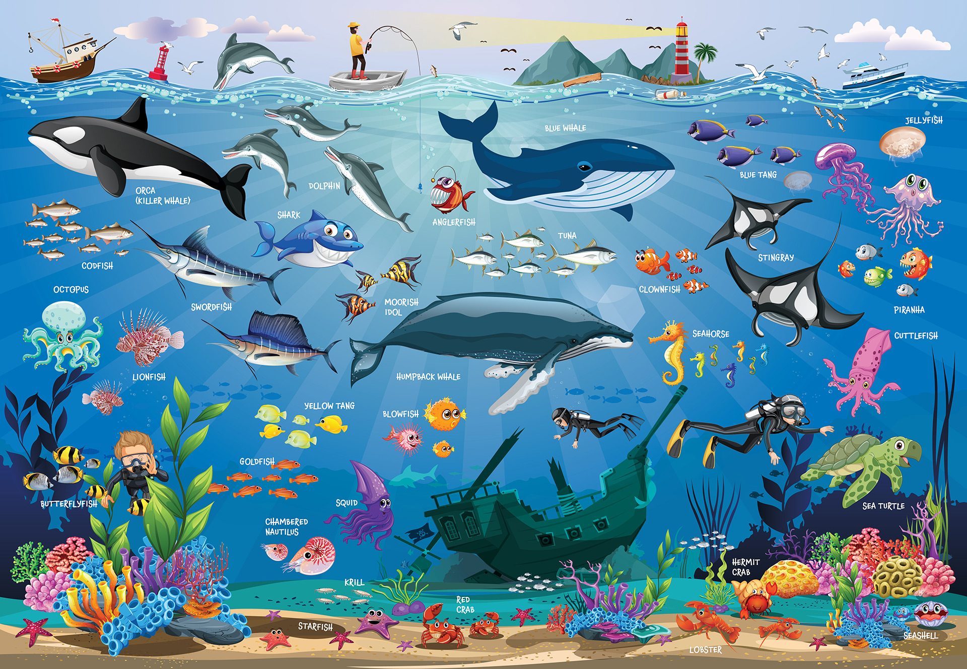 P-240—79244-01—OCEAN-LIFE-Interior-01 P-240---79244-01---OCEAN-LIFE-Interior-01