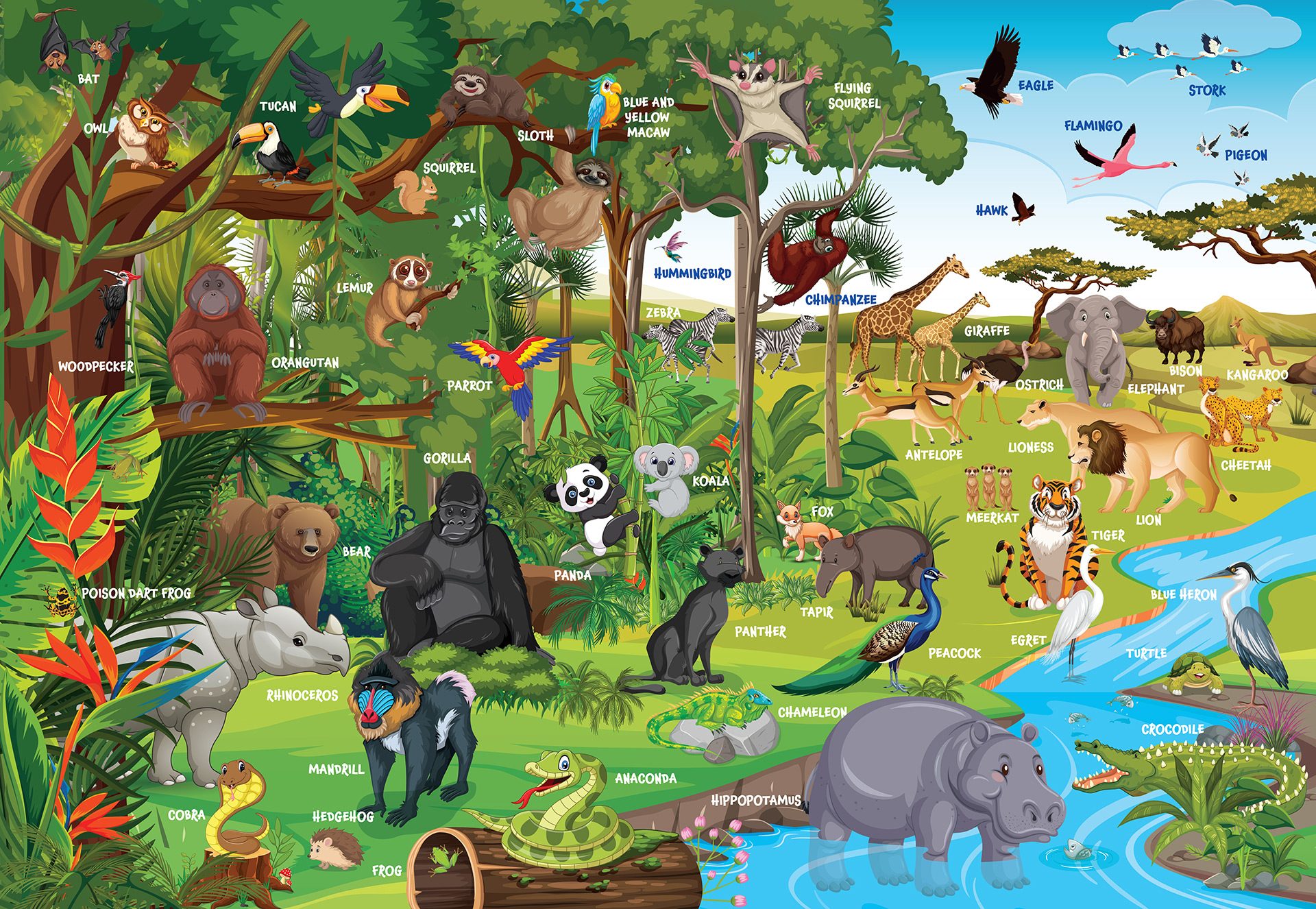 P-240–79244-03–WILD-ANIMALS-Interior P-240--79244-03--WILD-ANIMALS-Interior